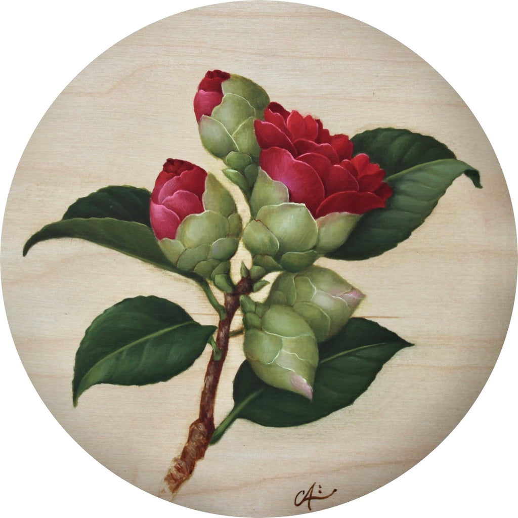 RED CAMELLIA