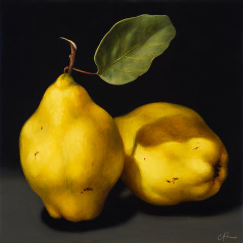 STILL LIFE WITH TWO QUINCES ~ Archival Print